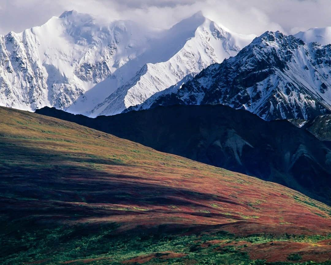 National Geographic Travelさんのインスタグラム写真 - (National Geographic TravelInstagram)「Photo by @stephen_matera / Summers are short in Alaska, and autumn comes early in Denali National Park. The tundra colors usually peak around the first week of September, as seen here from deep inside the park. Denali National Park encompasses the central portion of the Alaska Range, including Denali, which is the highest mountain in North America at 20,310 feet (6,190 meters).  Follow me @stephen_matera for more images like this from Alaska and around the world. #denalinationalpark #alaska」2月23日 8時35分 - natgeotravel