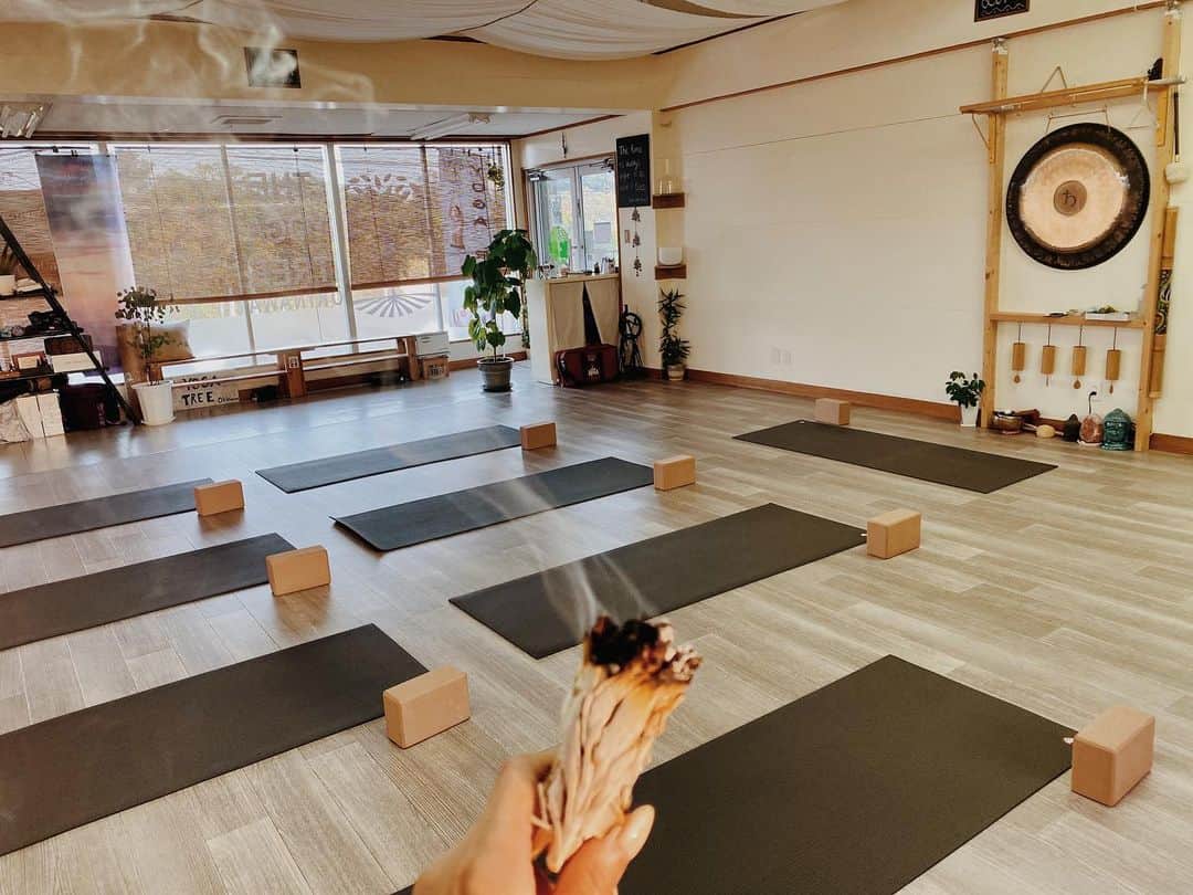 のインスタグラム：「Body knows you more than your mind.  Body knows what to do🧘‍♀️🙏 Be honest to what you desire. Be selfish, and feel free🕉 Every Tuesday Heat Yoga at the  @theyogatreeokinawa  18:30~ . . . #yoga #yogainstructor #yogastudio #okinawa #yogalife #yogini #love #yolo #follow #meditation #workout #aloyoga #alo #alomoves #chatan #yogapractice #ヨガ　#沖縄ヨガ　#沖縄　#ヨガインストラクター」