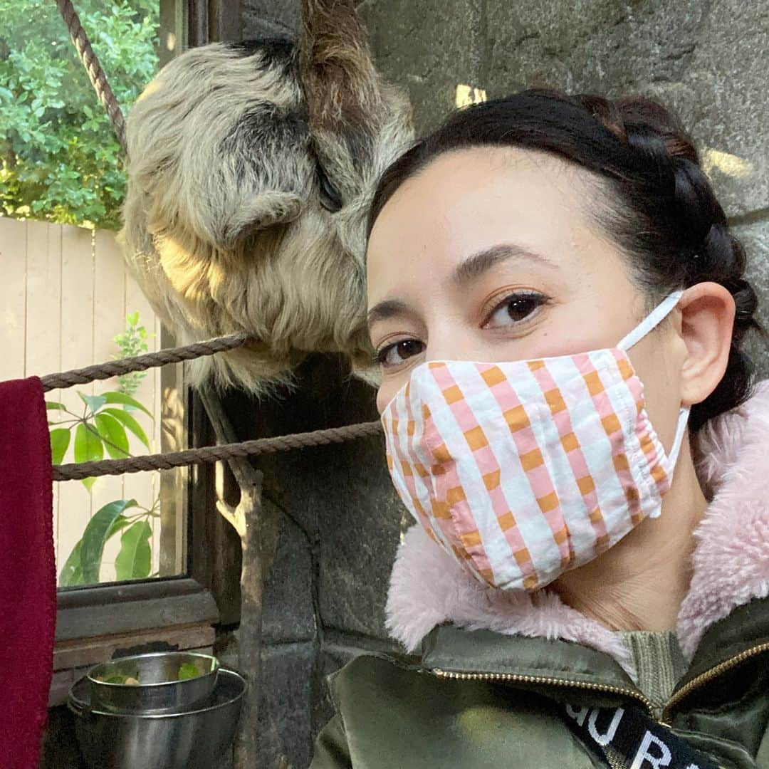 フリーディアのインスタグラム：「When you get to pet a sloth and see an armadillo so close up, you document it! Such a fun birthday (small) gathering! Thank Yoi @karlakakez for inviting us to the @wildlifelearningcenter Learned so much!! Did you know sloths sleep 20hours a day! * * ナマケモノとアルマジロを触ることができる時はちゃんと写真を残しとかないと！めっちゃ楽しいバースデーだった。 ここはケガしたワイルドな動物をレスキューするとこなの。とっても勉強になったの！ ナマケモノは1日に２０時間も寝るのってしてた？？ #sloth #armadillo #wildlife #sylmar #wildlifelearningcenter #animals #wildanimals #cute #friediamn #friedia #birthdayparty」