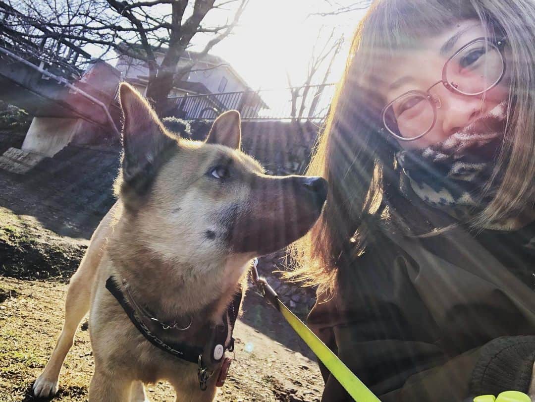 佐々木海のインスタグラム：「⚠️カエルが苦手な人スワイプしないでね😖  おはようございます☀ 花粉で目がパンパンです😂 昨日の夜散歩でアンバーが真っ最中のカエルを見つけてビビって飛び上がってました😂 あったかかったからなぁ☺️ めちゃくちゃ車に轢かれそうなとこにいたけど、さすがにさわれなかったので無事を祈って去りました。 無事に子孫残せるといいなぁ😅 #犬 #イヌ #イヌスタグラム #いぬすたぐらむ #犬バカ部 #いぬばか部 #ふわもこ部 #いぬら部 #犬のいる暮らし #保護犬 #元野犬 #雑種 #雑種犬 #ビビり犬 #里親 #保護犬を家族に #保護犬を飼おう #殺処分ゼロ #dog #dogs #dogstagram #doglove #doglover #doglovers #doglife #dogslife #rescuedog #rescueddog」