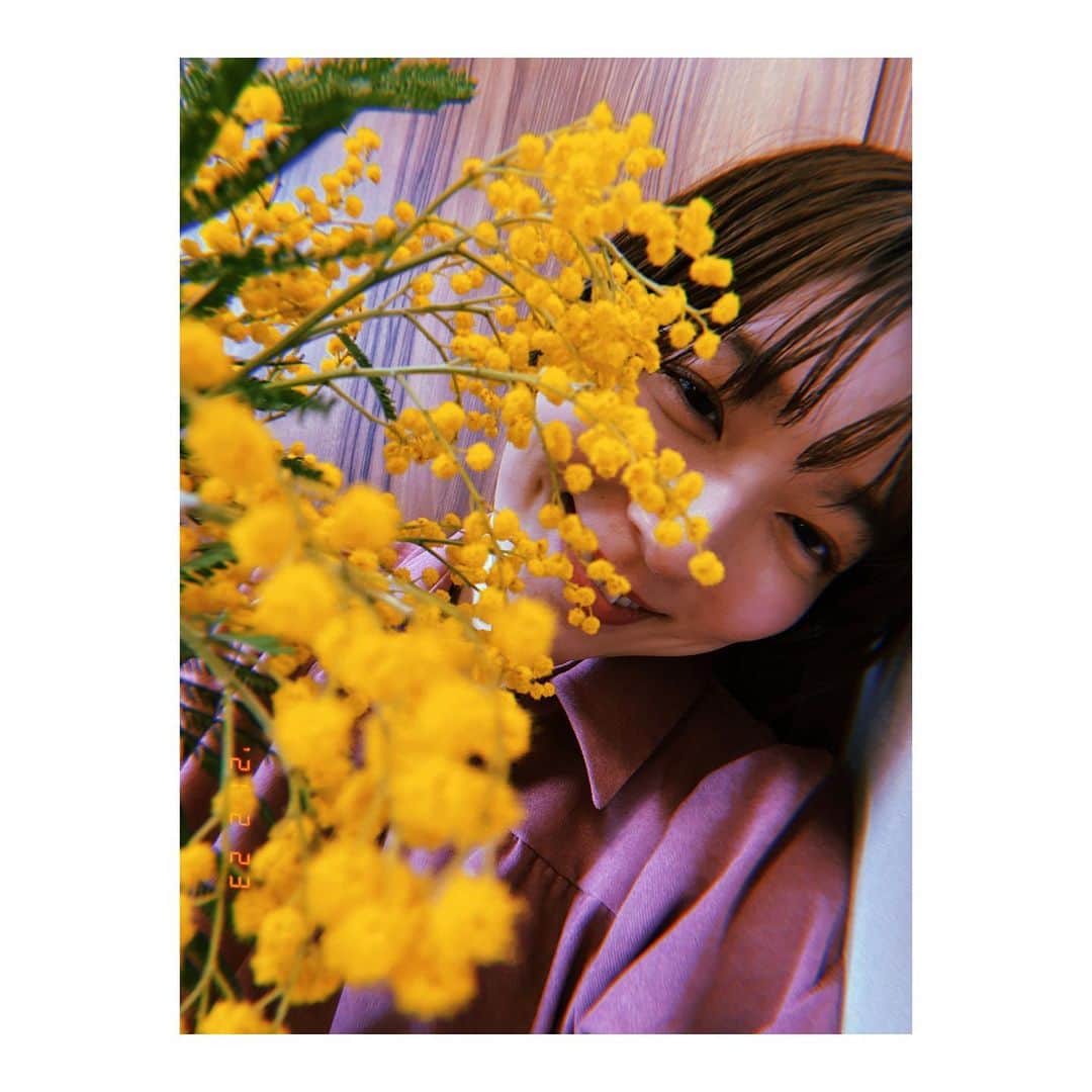 のインスタグラム：「♪  🌼  たまには主役になったっていいじゃない  そーゆーかんじの  ミモザさん  #ミモザ #エモいってば #たまには、ね」