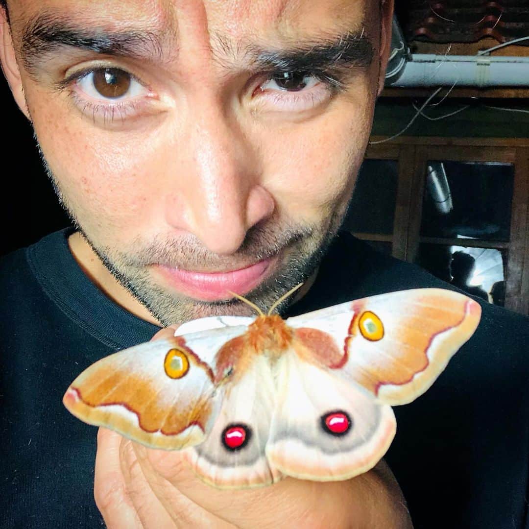 クラウディオ・リースのインスタグラム：「Hoy nos visitó este ser maravilloso 🌟 🦋 🦋 🦋🦋🦋🦋🦋🦋🦋🦋🦋  Gigante !!!!」