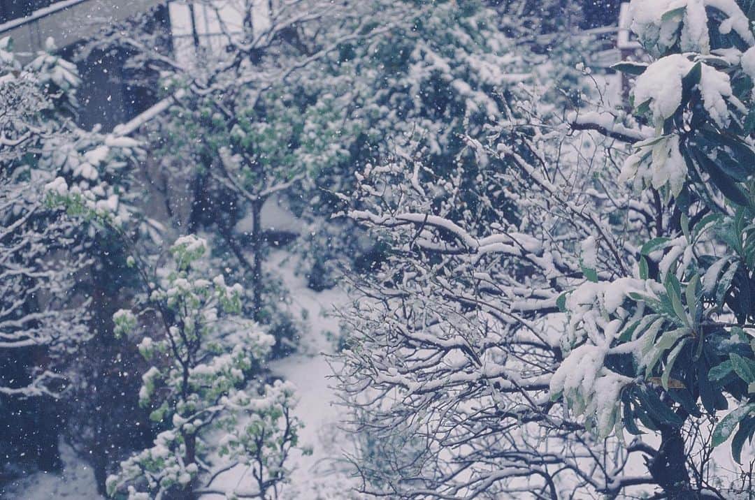 天音里菜さんのインスタグラム写真 - (天音里菜Instagram)「❆ もう雪、降らないかな？ ぽかぽかしてきたから毎日心がうきうきする！！ 一番好きな季節がもうすぐやってくるよ！」2月23日 11時28分 - rin_a_mn