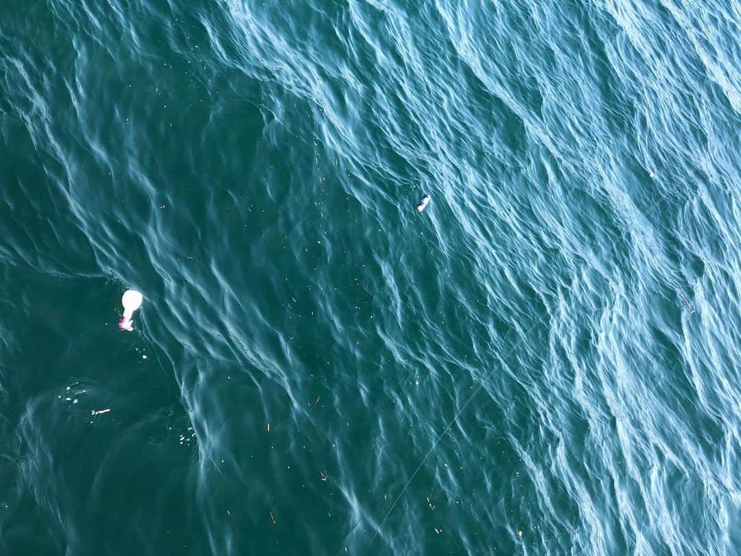 RENA のインスタグラム：「プラゴミ🌊🐟  日本は島国のため海外からの多くのごみが海岸に流れ着く為、このゴミは日本人の物じゃないかもしれないけど、日本人の捨てたプラゴミかもしれない  身近な所でいうと、魚やイルカやクジラやカメ等が間違って食べてしまったり絡みついてしまって体から離れなくなってしまいます  回り回って人間の体にも害を及ぼします  プラスチックの有害性により海も汚れます  こんな海を見るとなんだか複雑、ガッカリしてしまいます  それでも青くて太陽の光でキラキラ綺麗  少しずつ本当の意味で綺麗にしていくために世界中が環境問題に向き合って行動に移す今、一人一人がすこしでも意識しなきゃなぁと感じた週末  魚は釣れなかったけどゴミを釣って帰りました笑  #海のある生活 #プラごみ #環境問題 #eco #sustainable #ocean #sunday #3R」