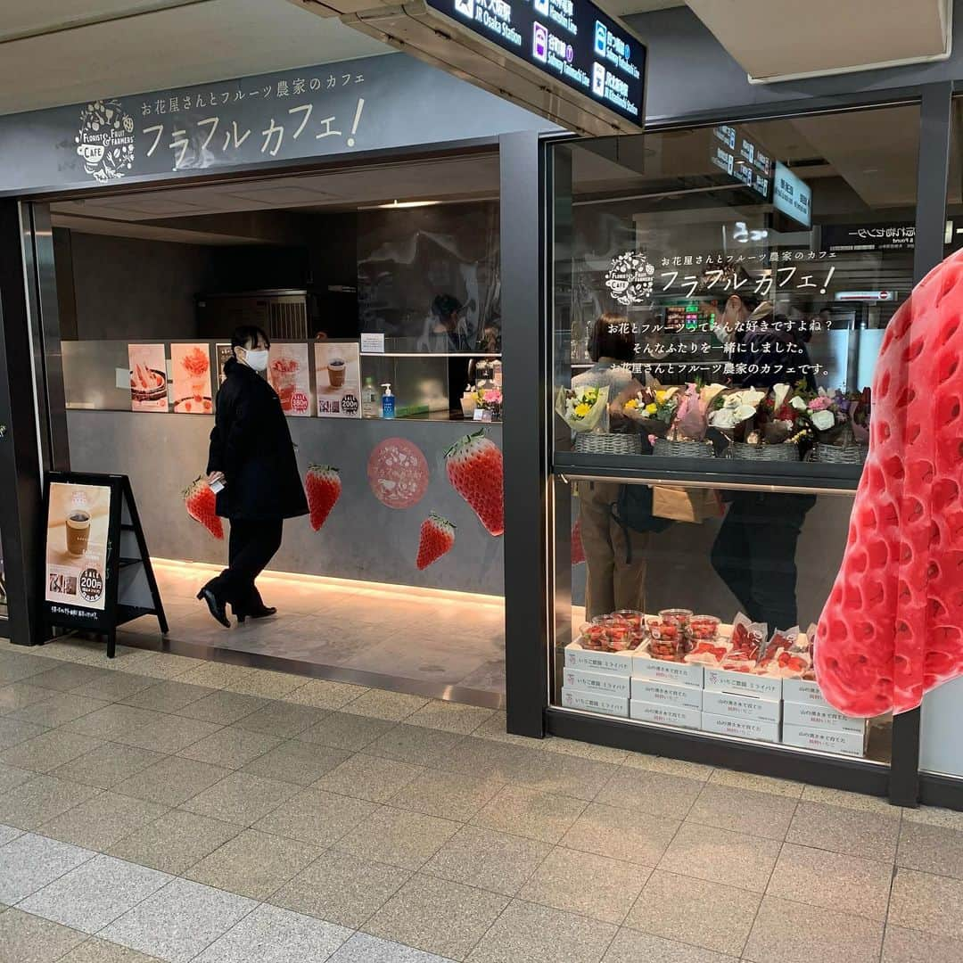 板野優花さんのインスタグラム写真 - (板野優花Instagram)「☕️大阪・梅田 フラフルカフェ！ さん @furafurucafe.osaka  阪急梅田駅 茶屋町口改札の目の前🚶‍♀️✨ ・ 2月22日からオープンしたカフェに オープン当日から行ってきました☺️💕 誘ってくれたまほちゃんありがとう🍓✨ お花×フルーツなんて最強すぎん？？？ ・ 2月24日まではオープン記念イベントとして 先着順でスターチスが貰えたり 店内でいちご狩りも体験できましたー😌💓 限定メニューもあったから今回はそれも頂いてきました✨ ・ 📎フラフルいちごのスムージー 580(期間限定で380) 📎いちごミルク 580 📎あふれるいちごパフェ ※数量限定✨ Mサイズ 1280（Lサイズは1980） ・ お花屋さんとフルーツ農家さんがタッグを 組んで作られたお店ということもあって 店内は生花でいっぱいでお花のいい香りがしました🌷 カフェメニューも新鮮ないちごが使用されてて めちゃくちゃジューシーないちごスイーツを堪能してきました🍓✨ ・ お花のサブスクもあって来店する度に 新しいお花が頂けるんだってー✨ お花好きにもたまらないお店かも☺️💕 サブスク以外にもブーケやブリザーブドフラワーが 販売されてて今回はピンクのブーケを頂いてきました🥰 ・ その日の早朝に採れた旬のいちごも 店頭で販売されてたので帰宅後のご褒美にもいいかも💓 ・ 今回はいちごでしたが、シーズンに合わせて 旬のフルーツを使用したスイーツが提供されるみたい✨ 次は5月中旬に変わるみたいでその頃にもまた行きたいなぁ🤗💕 ・ #フラフルカフェ #大阪カフェ #大阪グルメ #中崎町カフェ #中崎町グルメ #茶屋町カフェ #茶屋町グルメ  #梅田カフェ #梅田グルメ #関西カフェ巡り #北区カフェ #カフェ巡り好きな人と繋がりたい  #関西グルメ #おいしいもの好きな人と繋がりたい #カフェ活 #おすすめカフェ #カフェ女子 #いちごスムージー #いちごミルク #いちごパフェ #ゆーろの美味しいメモ #お花のサブスク #お花のある暮らし #サブスク」2月23日 11時43分 - yuka_itano