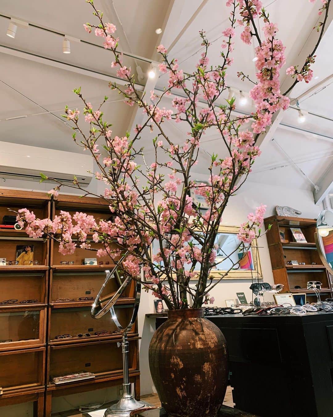 GLOBE SPECS_officialさんのインスタグラム写真 - (GLOBE SPECS_officialInstagram)「こんにちは、代官山店の植栽が変更になりました。  A棟（1枚目）が河津桜 B棟（2枚目）がさんしゅです。  いつも素敵な植栽をどうもありがとうございます！  @chibi.flower   #globespecsdaikanyama  #植栽」2月23日 11時44分 - globespecs_official