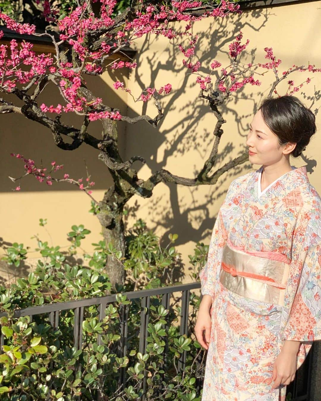 日高薫さんのインスタグラム写真 - (日高薫Instagram)「梅の綺麗な木の前で🥰🤳👘🎎💗  #梅の花 #着物 #着物ヘア #着物コーディネート #小紋 #名古屋帯#ひな祭り着物 #女の子ママ」2月23日 11時42分 - hidaka_kaoru_official