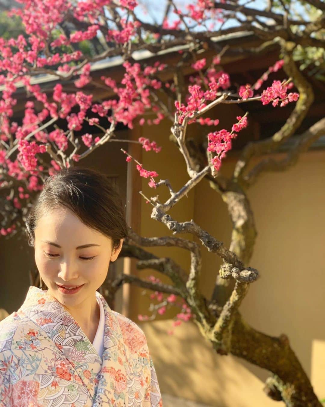 日高薫さんのインスタグラム写真 - (日高薫Instagram)「梅の綺麗な木の前で🥰🤳👘🎎💗  #梅の花 #着物 #着物ヘア #着物コーディネート #小紋 #名古屋帯#ひな祭り着物 #女の子ママ」2月23日 11時42分 - hidaka_kaoru_official