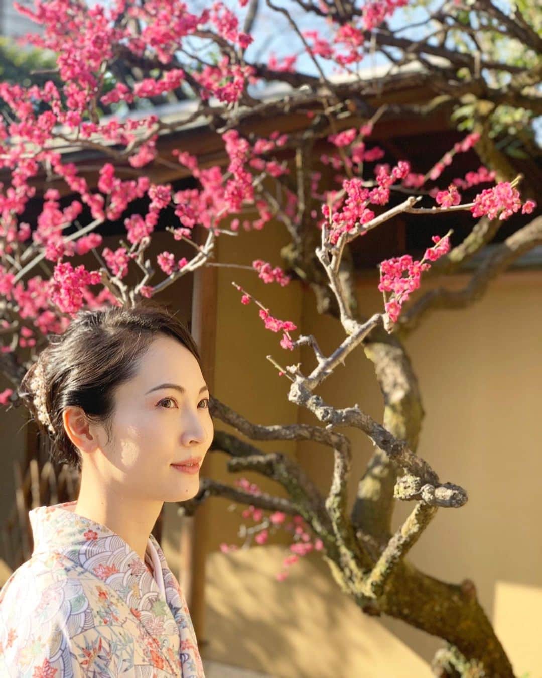日高薫のインスタグラム：「梅の綺麗な木の前で🥰🤳👘🎎💗  #梅の花 #着物 #着物ヘア #着物コーディネート #小紋 #名古屋帯#ひな祭り着物 #女の子ママ」