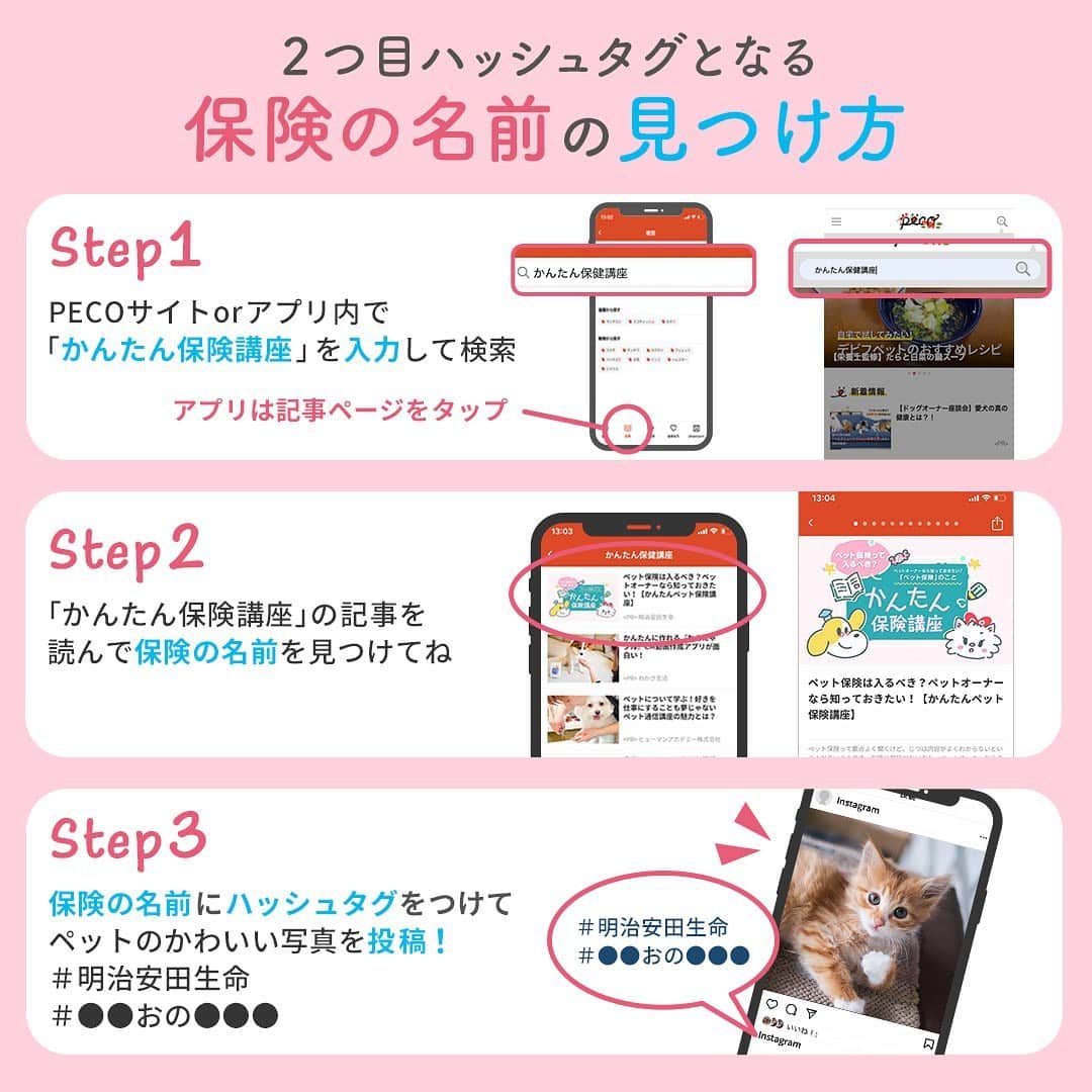 Kazumi-Gakumamaさんのインスタグラム写真 - (Kazumi-GakumamaInstagram)「明治安田生命から「ペット保険」が新登場➰✨ * それを記念して、Instagram投稿キャンペーンが開催されました㊗️🎊🎉 * 入選者には、ご自分の愛犬愛猫が掲載された明治安田生命オリジナルカレンダーをプレゼントしま〜す🎁 * カレンダーは2021年4月スタートで1年間🗓 * あなたの可愛いわんちゃんやねこちゃんの掲載月を見るのが楽しみになっちゃうこと間違いなし🐶🐱👀 * PECO公式Instagramアカウントにて入選者を発表しま〰️す📢 * 参加方法はｺﾁﾗ👇 １．PECO公式Instagramアカウント( @pecodogs または @pecocats )のどちらかをフォロー ２．ペットのかわいい写真に、ハッシュタグ #明治安田生命 と、明治安田生命から新登場した「ペット保険の名前」の2つをハッシュタグとして付けて投稿するだけ‼︎ * 新登場した「ペット保険」の名前は、PECOサイト又はPECOアプリ内にある「かんたん保険講座」の記事に隠れていますので探してね〜🔍 * そして、岳が投稿したストーリーには、2つ目のハッシュタグが隠された「かんたん保険講座」の記事リンクが貼ってあるので、そちらを見てくださいﾈ💁‍♀️ * キャンペーンの詳細は、PECO公式Instagram ( @pecodogs @pecocats )でチェックしてください~😽 * 人間も動物も小さい頃は元気でも、歳と共に色々な病気が出て来ます。 実は、岳もシニア期に入ったとたん病気が見付かりました😢 数ヶ月に一度の検査、毎日の投薬(1日2回)代もバカにならず、保険に入っていて本当に良かった‼︎と実感しました😌 🐾----*----*----*----🐾 Pet insurance is newly introduced from Meiji Yasuda Life🐶🐱✨ 🐾----*----*----*----🐾 #柴犬 #岳 #柴犬岳 #柴犬ガク#gaku #shibainugaku #shiba #shibainu #shibastagram #いぬすたぐらむ #dogsofinstagram  #ワンフルエンサー  #pecoいぬ部 #pecotv #もふもふモフモフ #Hermoso #weeklyfluff #🐕📷 #dailyfluff #pr #明治安田生命 #ペット保険 #大切な命 #大切な家族 #20210223」2月23日 11時51分 - shibainu.gaku