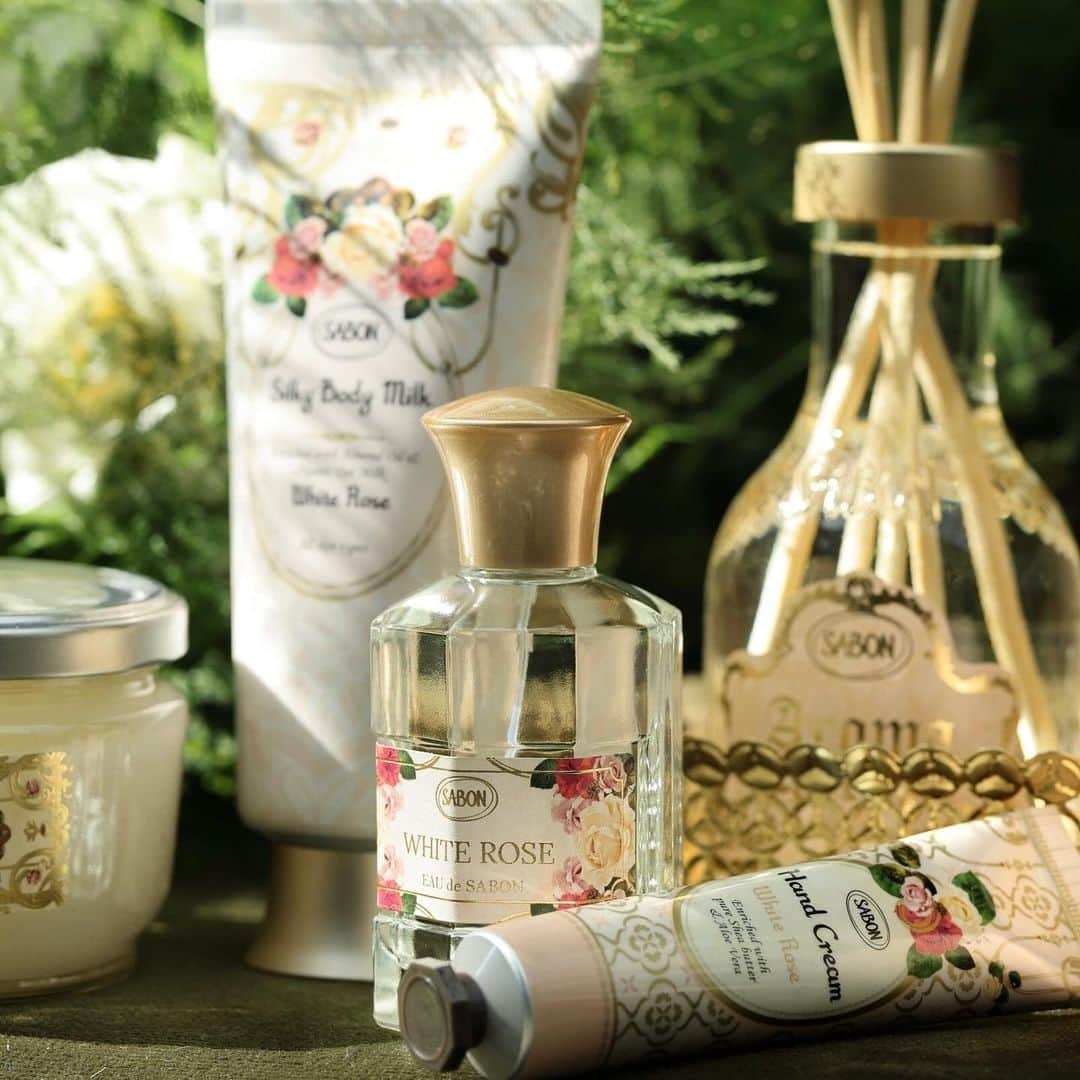 SABON Japanさんのインスタグラム写真 - (SABON JapanInstagram)「＜数量限定登場 "White Rose"＞﻿ 王妃の庭に咲く、柔らかく優美な"ホワイト・ローズ"。﻿ フレッシュなベルガモットの軽やかさが春の優しい陽射しを予感させ、蕾がほころびはじめた柔らかなホワイト・ローズと優美なジャスミンが奏でる、詩のようにエレガントな香り。﻿ 神聖なムスクが高貴なエッセンスを加え、秘密めいた花園へと誘います。﻿ ﻿ 人気のボディケアアイテムの他、香りを優雅に纏えるオードトワレ"オードゥサボン"や、お気に入りの空間を香りで満たす"アロマ"も登場。﻿ ﻿ 春の訪れをホワイトローズの香りとともにお楽しみください。﻿ ﻿ ﻿ ﻿ #SABONRoseFestival﻿ ﻿ #sabon#ホワイトローズ#ホワイトローズの香り#SABONのホワイトローズ#bodycare#whiterose#spring#サボン#フレグランス#SABONボディスクラブ#秘密の花園#香り#美容#春コスメ#コスメ#春#SABONの香り#サボンの香り#ボディケア#透明感#しっとり肌#SABONのスクラブ#ボディスクラブ#香り#サボンのホワイトティー#フレグランス#SABONの香り#サボンの香り#ローズフェスティバル」2月23日 12時00分 - sabon_japan