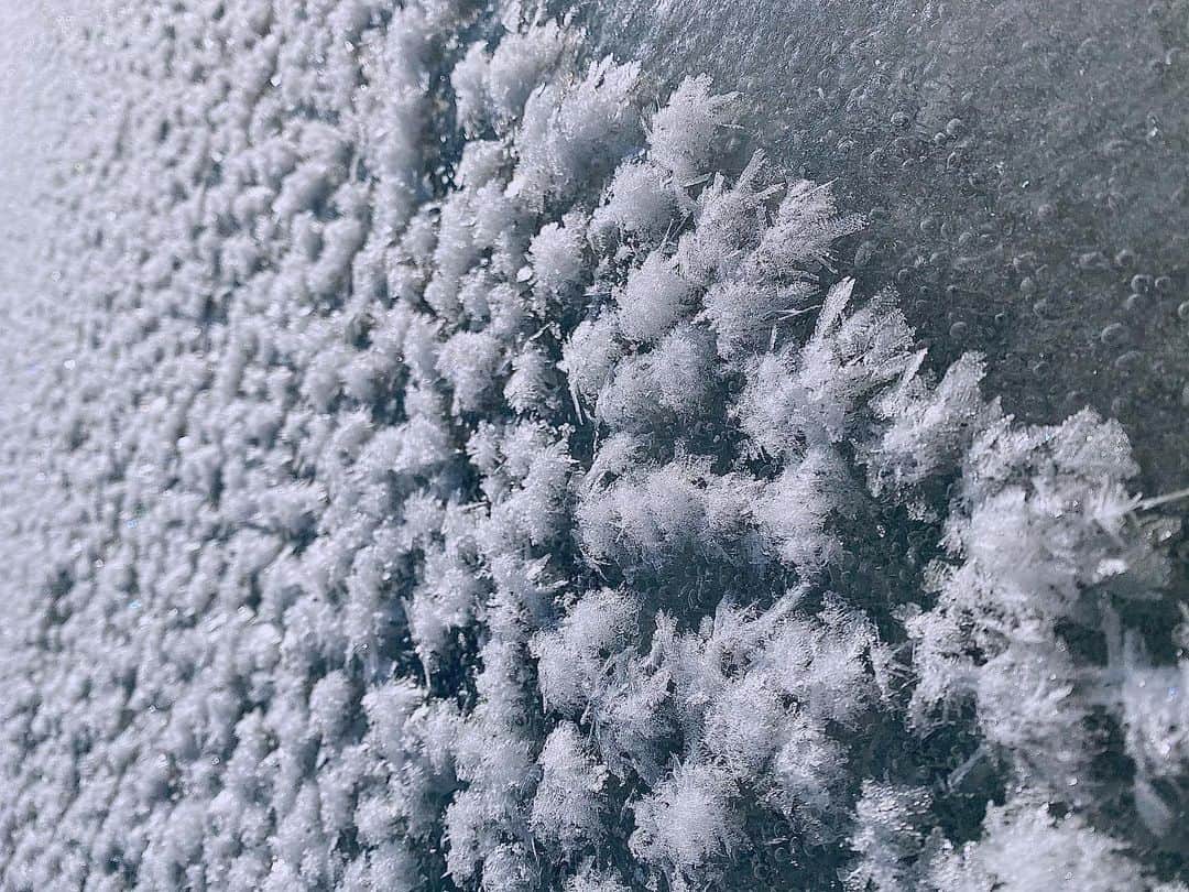 浅田舞さんのインスタグラム写真 - (浅田舞Instagram)「スケートリンクの何倍も寒い阿寒湖旅❄︎本当に楽しかったなぁ♫ @tokoro_japan8   真冬の冷えた朝にだけ見ることができる湖上に咲く奇跡の霜の花#フロストフラワー とっても綺麗でした❄︎」2月23日 12時13分 - asadamai717