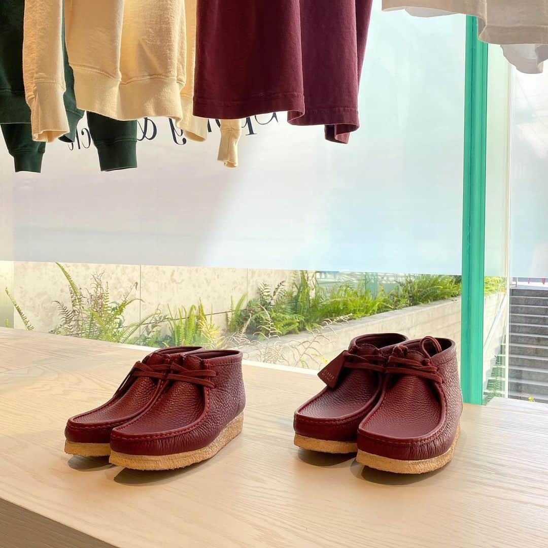のインスタグラム：「＜CLARKS OLIGINALS＞ × ＜Sporty&Rich＞ WALLABEE for men&women ¥27,500-(tax in)  #H_beautyandyouth @h_beautyandyouth  #BEAUTYANDYOUTH #Unitedarrows」