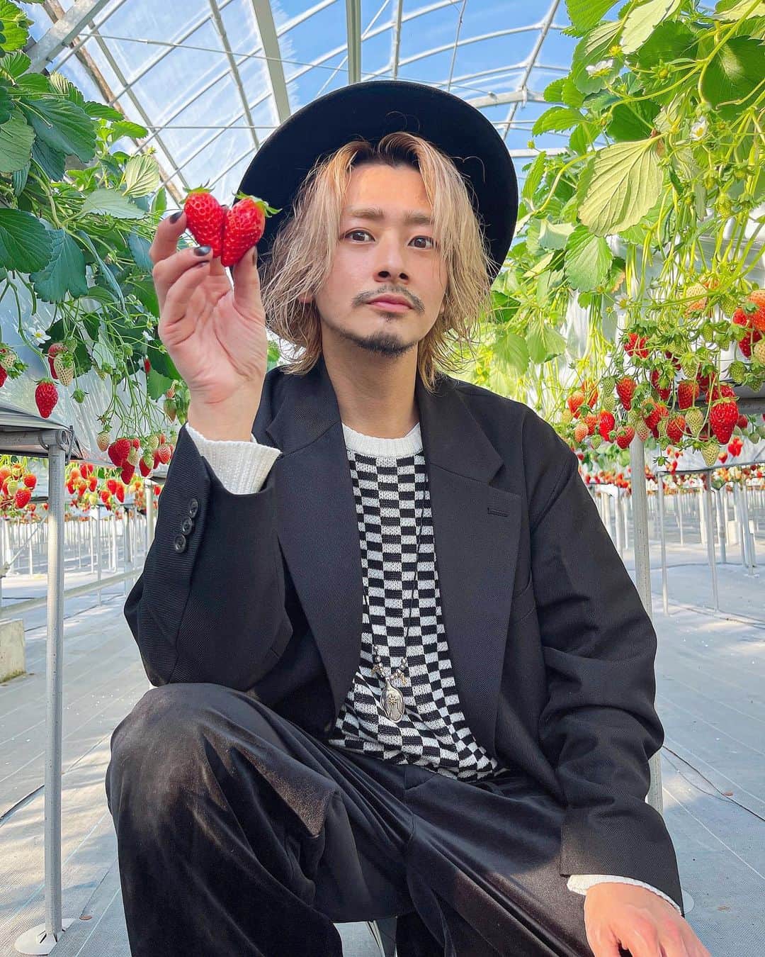 加代憲康のインスタグラム：「🍓🍓🍓🍓🍓 ハート苺 ↑これかわいいです！  季節を感じると思い出も蘇ってくるから季節に合わせたお出かけって大切ですね。  いちご狩りは僕はほとんど食べないけど笑笑 あの雰囲気は大好きです。  女子が喜んでる場に混じってる感は未だにちょっと恥ずかしい気持ちもあります笑笑  @rinatea_25 ハート苺見てね！  #ハート🍓 #ハート苺 #ハートいちご #いちご狩り #いちごがり  #いちごがり🍓 #supreme #シュプリーム」