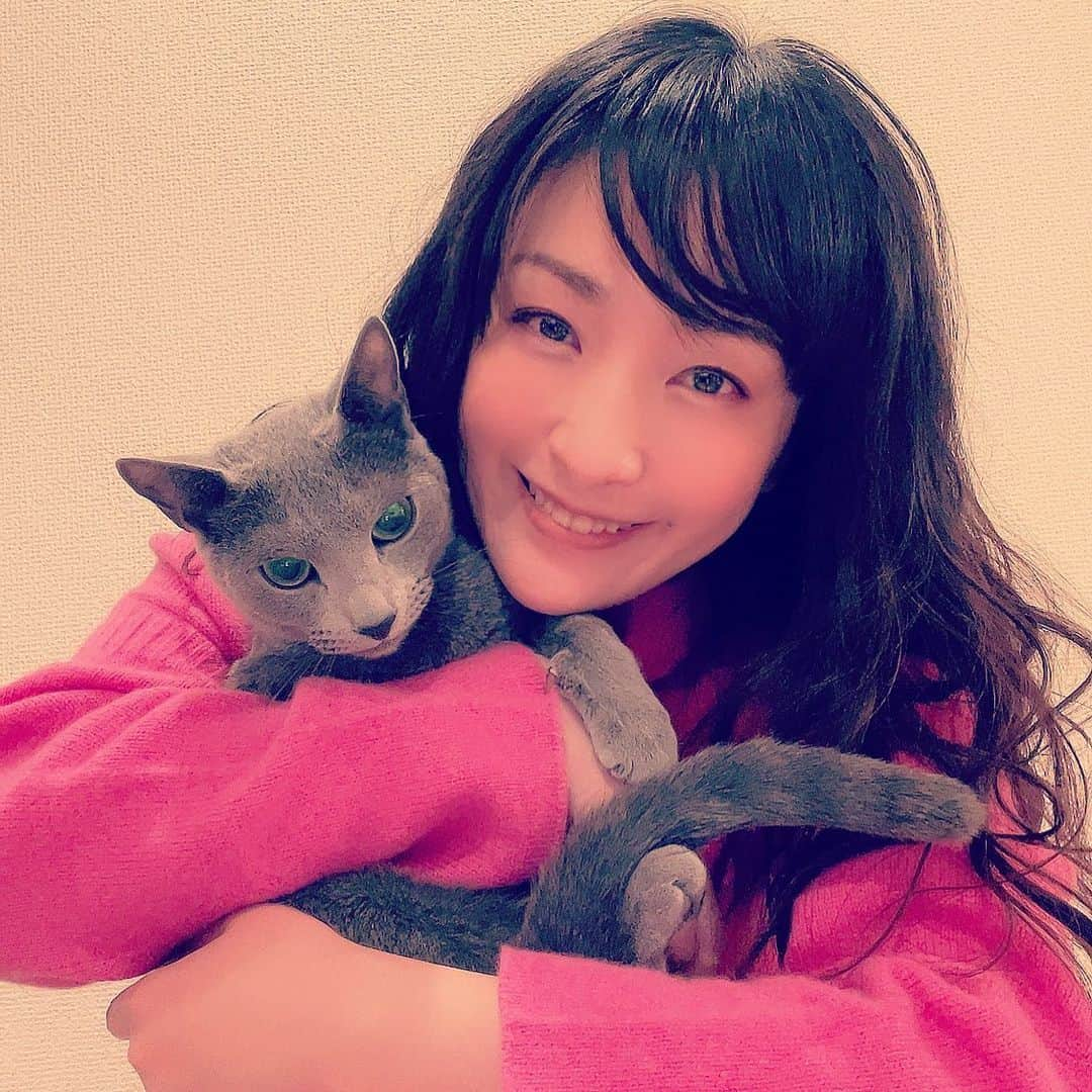 植田佳奈のインスタグラム：「#猫の日 #ネコ #猫  #ねこすたぐらむ」