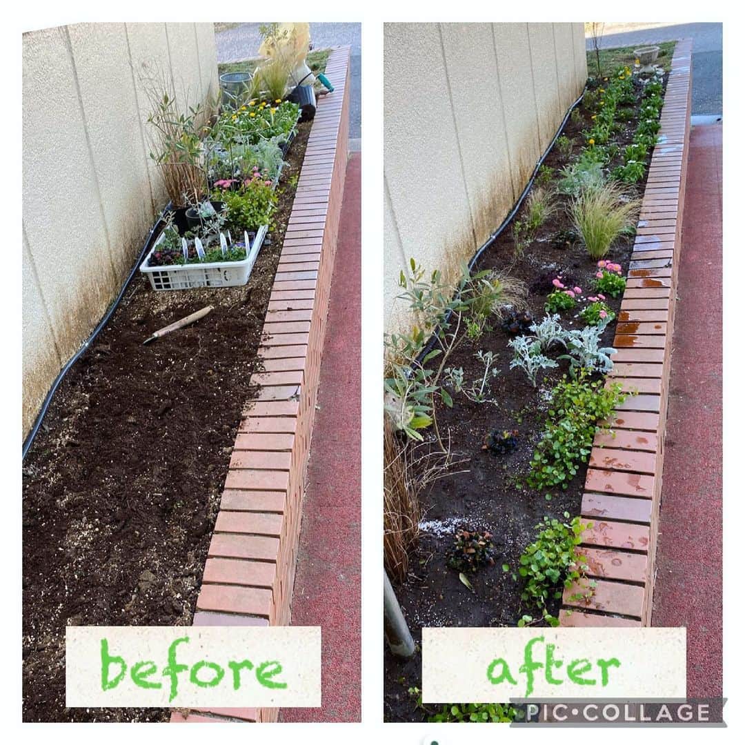 MILLE ECLAT.のグルメインスタ