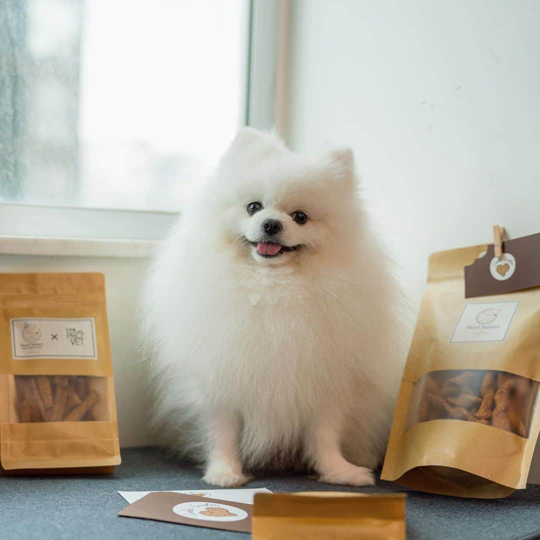 Mochi the Orkyehのインスタグラム：「Bags of treats that’s make you smile by @csmileshk ☺️🍪 A tasty treat that supports a good cause, supporting disadvantaged individuals and charities ❤️」