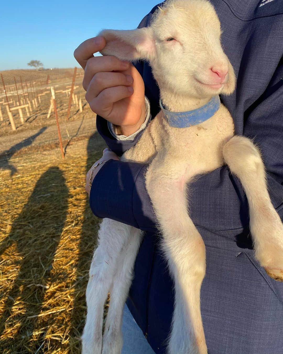 ティム・ディケイのインスタグラム：「Had a wonderful weekend at @revesdemoutons」