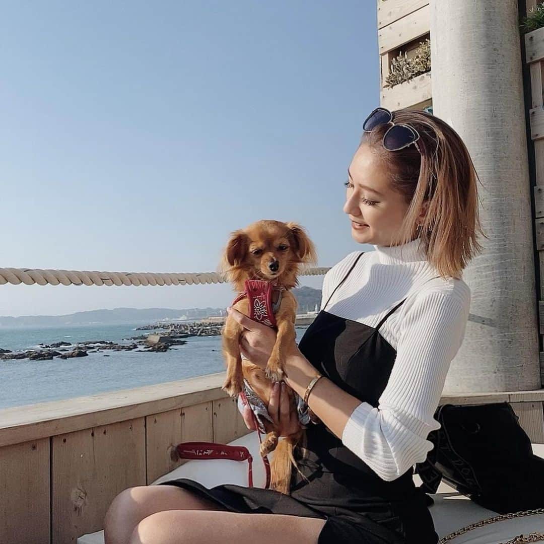 椿彩加のインスタグラム：「. おっはよ☀️  週末はふてと海❤️ ふては眩しいのか終始この顔。 2月なのにあったかすぎて びっくらぽん！！  #愛犬 #ふて #渡辺ふて #チワックス #いっぬ #海 #カフェ #週末 #ドライブ #インスタグラマー #ふてちゃん #baby #puppy」