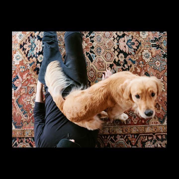 Airbnbのインスタグラム：「London-based photographer Carol found Superhost Jacopo’s dog-friendly Stone House in Miano, Italy for a trip to celebrate a 40th birthday with her husband, friends, and Golden Retriever Miso—who was grateful to explore new territory with the entire pack. This is just one of the millions of trips that take place on Airbnb, made possible by Hosts.」