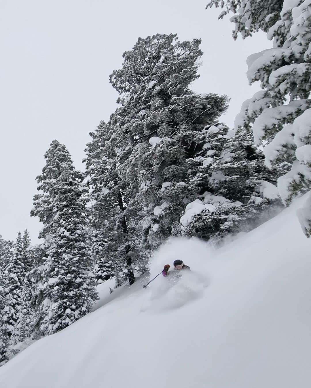 ジミー・チンのインスタグラム：「The unbearable lightness of being @caite_zeliff.   @caite_zeliff brings a great perspective to life and skiing. Give her a follow to see her charging big mountain lines, stomping airs, and of course, shredding pow.   @thenorthface」