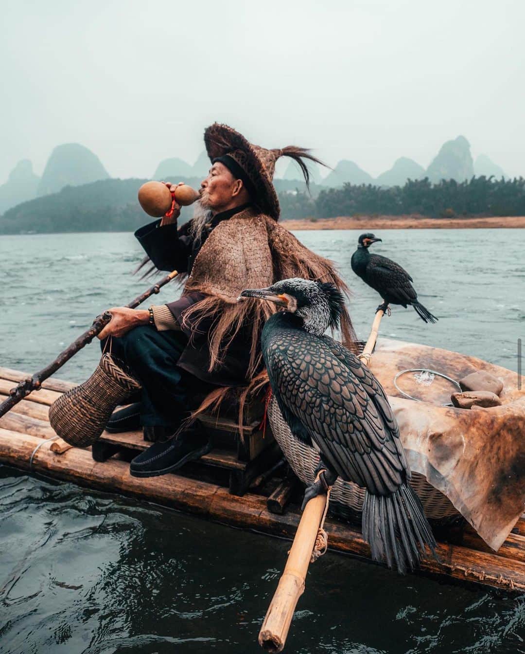 WATCHMANIAのインスタグラム：「Cormorant fishing is a traditional fishing method in which fishermen use trained cormorants to fish in rivers, but sadly 1300 years old fishing method, now only survives as a tourist attraction.  Wonderful image by @yantastic」