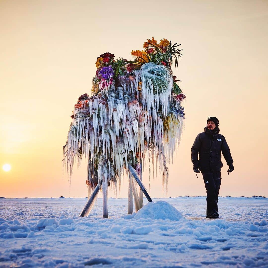 東信のインスタグラム：「Frozen Flowers (2021)  #azumamakoto #makotoazuma #shiinokishunsuke #amkk #amkkproject #botanicalsculpture #todowara #hokkaido #theendoftheworld #東信 #東信花樹研究所 #トドワラ #野付半島」