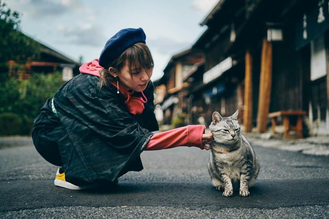 乃下未帆さんのインスタグラム写真 - (乃下未帆Instagram)「猫の日のために待機していた写真。  クッ…  #猫の日」2月24日 0時23分 - noshita34