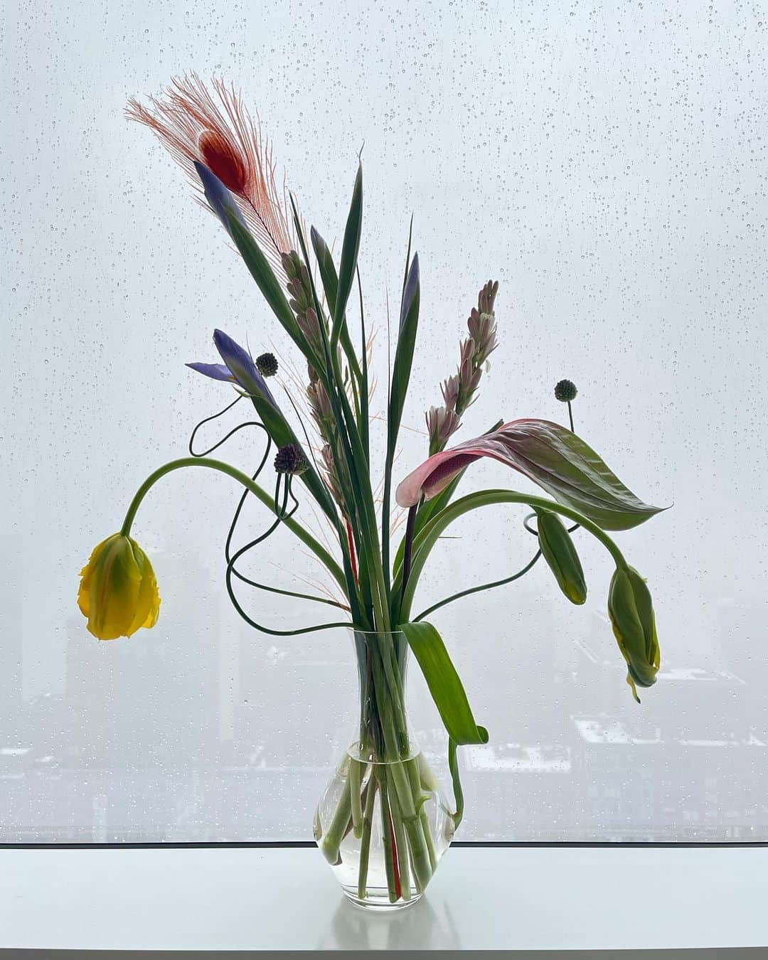 エミリー・DiDonatoのインスタグラム：「It’s cold out there but look how pretty it is in here 🌸 @fleurotica」