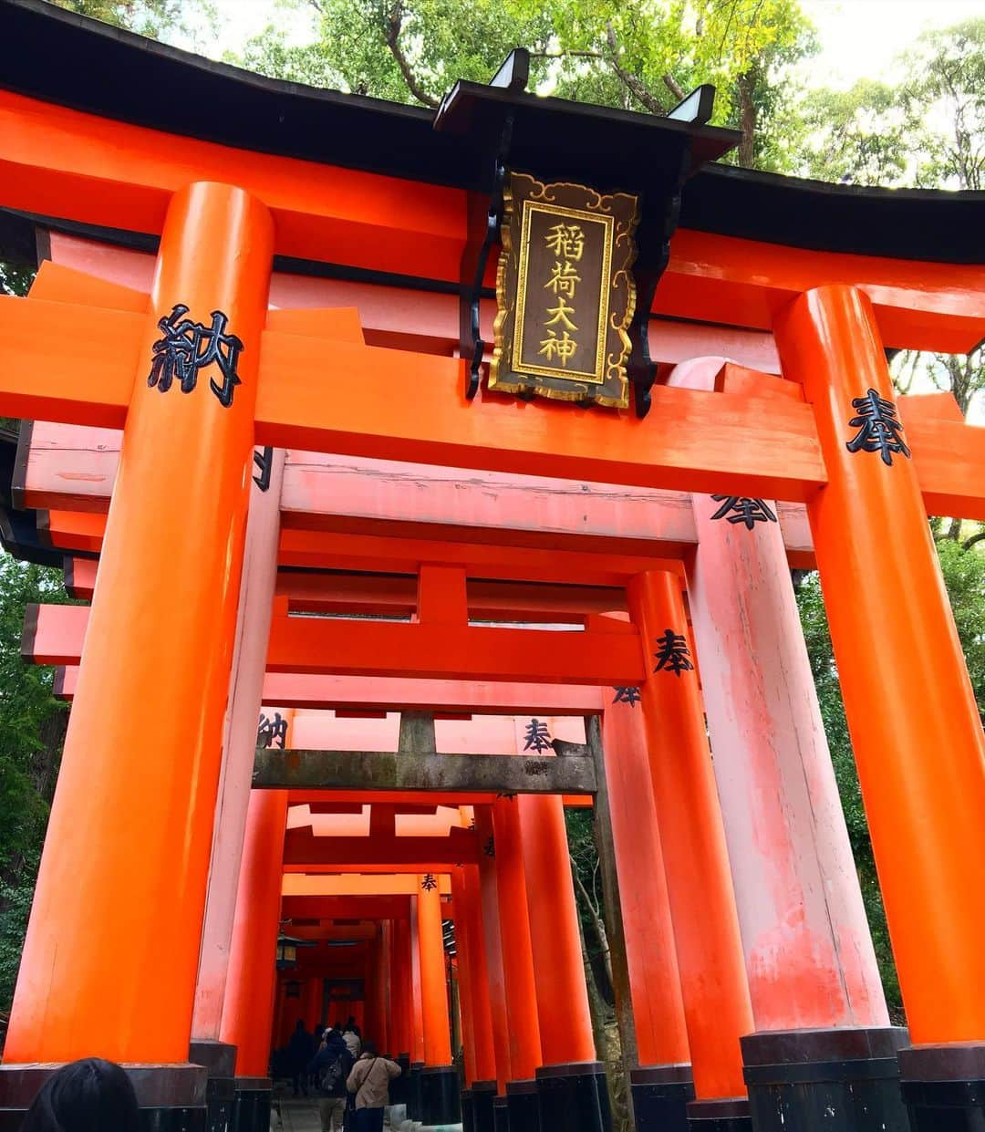 AirSolさんのインスタグラム写真 - (AirSolInstagram)「商売繁盛の伏見稲荷神社⛩ 行かれた事はありますか？  神聖な雰囲気で、とても魅力的でした！  健康と金運アップ、商売繁盛を祈願✨  旧正月も明けましたね！ 今年もステキな年になりますように✨  * * * *  ☆☆☆☆☆☆☆☆☆☆☆☆☆☆☆☆☆☆☆☆ ・ Airsolであなたの能力を活かしてみませんか？ 客室乗務員としての多言語・異文化対応力、マナー・作法など、接遇で培われた”あなた”の力が必要です。 またママさんインフルエンサー・ライター・通訳事業など、様々なお仕事をご紹介中🎵  LINEの友だち登録はこちらのリンクをクリックするか、 https://lin.ee/3u6Pf71 LINE ID「＠126adeat」を検索してくださいね！ ——————————————————— ・  #ca #客室乗務員 #外資系客室乗務員 #現役ca #元ca #caになりたい #客室乗務員になりたい #ca生活 #客室乗務員生活 #インフルエンサー募集 #モデル募集 #ライター募集 #caのスキル #airsol #インスタグラマー募集 #calife #crewlife #クルーライフ #caライフ #客室乗務員志望 #メンバー募集 #caのここだけの話 #ca募集  #通訳募集 #ガイド募集 #外資系ca #エアソル #空港ラウンジ　#ビジネスクラス　#caのここだけの話」2月23日 16時35分 - airsol_jp