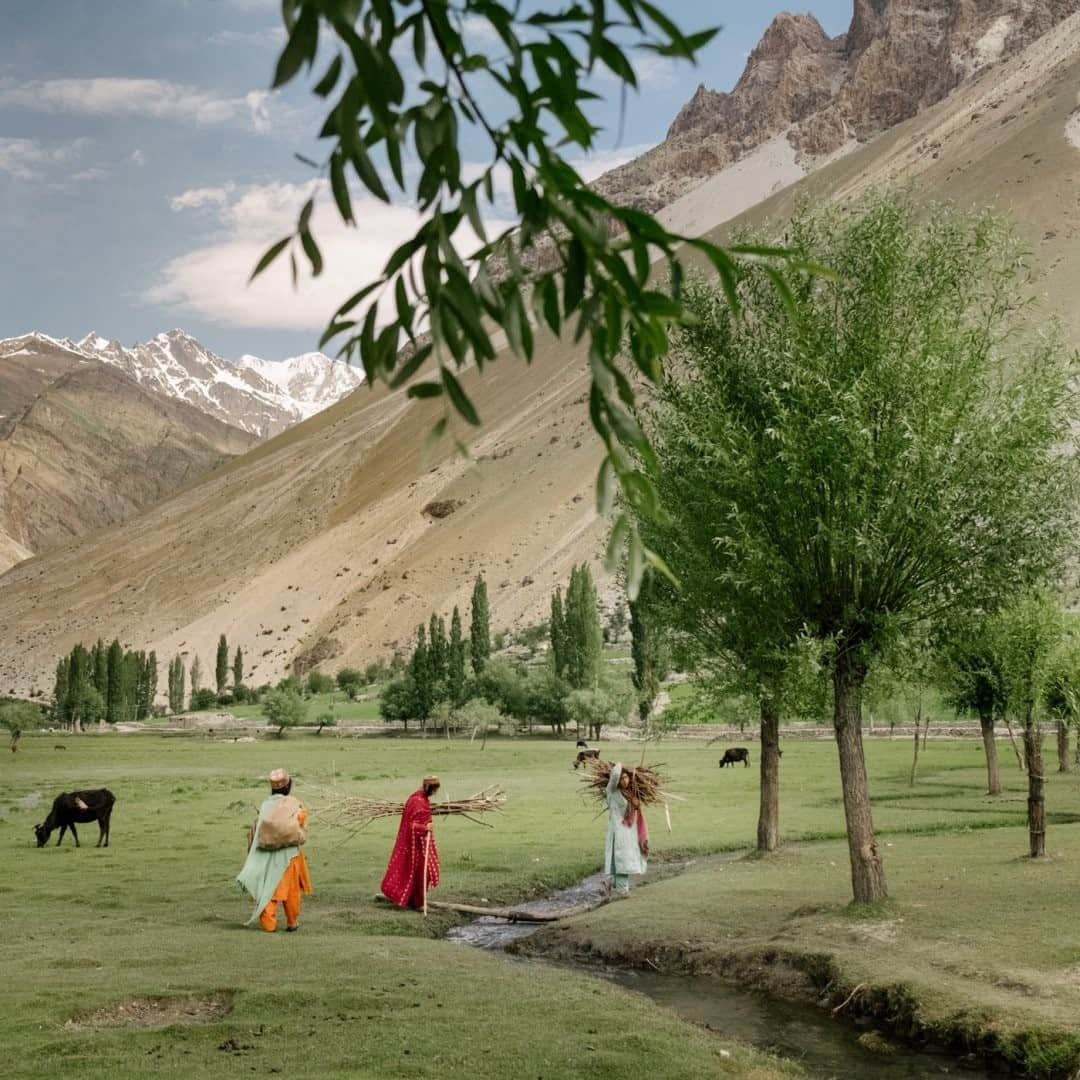 ナショナルジオグラフィックさんのインスタグラム写真 - (ナショナルジオグラフィックInstagram)「Photo by Matthieu Paley @paleyphoto / Wakhi women return from a morning chore to gather wood. Over the years, I have been very fortunate to trek countless times, on my own and with my family, among Pakistan’s magnificent Karakoram mountains. For more cultural insights into our mountainous world, follow @paleyphoto #karakoram #mountainculture #hindukush  Check out Nat Geo's link in bio for more on this story.」2月23日 16時39分 - natgeo