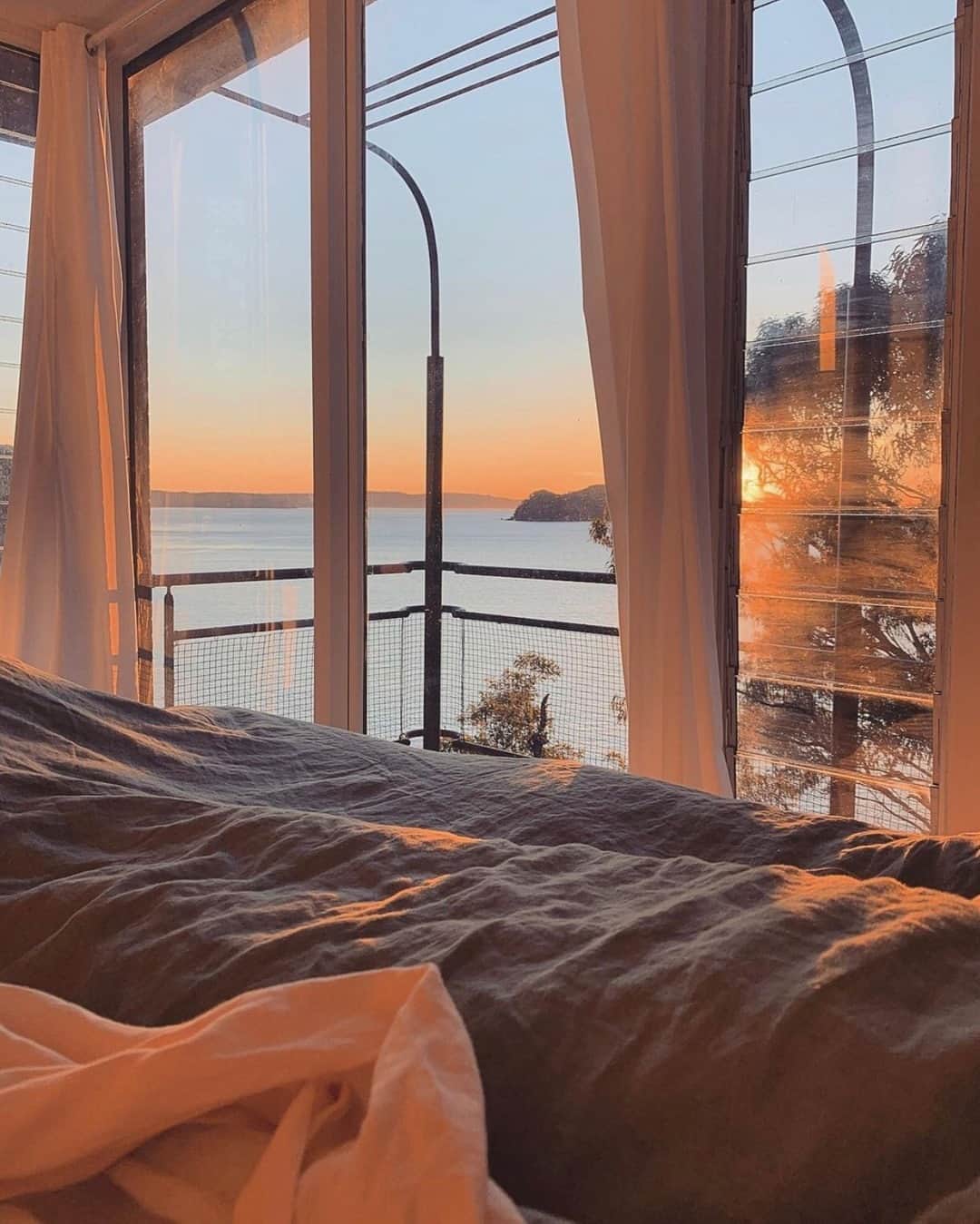 The Horseさんのインスタグラム写真 - (The HorseInstagram)「Waking up with the sun at the @capemackerelcabin nestled high amongst the eucalyptus trees where the bush meets the sea. #thehorse⠀⠀⠀⠀⠀⠀⠀⠀⠀ Via @nicole_banning」2月23日 16時45分 - the_horse