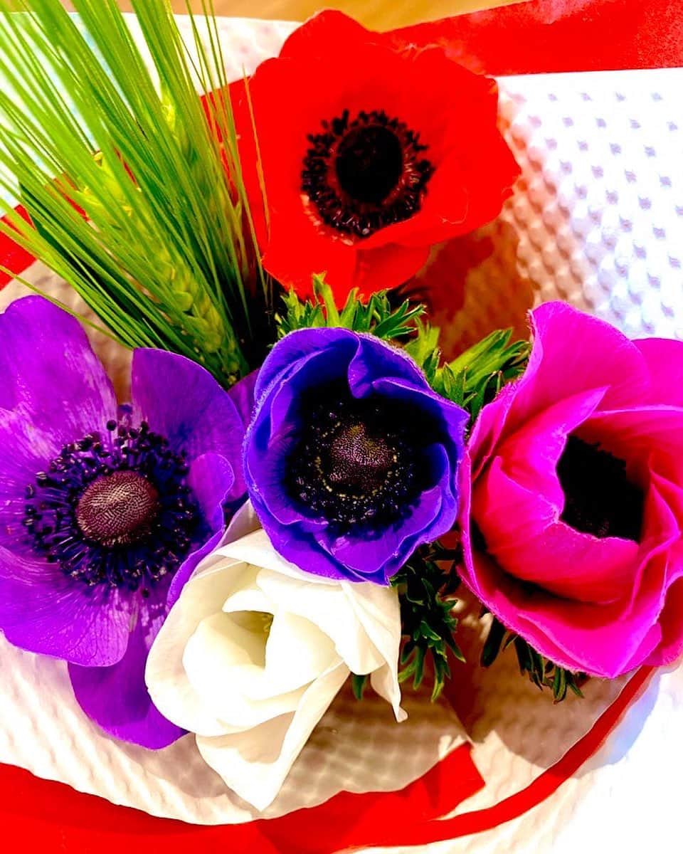 倉田雅世のインスタグラム：「アネモネ、きれいだなあ。 お花はいつもテーブルに飾る派です。 （お花のサブスクも興味しんしん）」