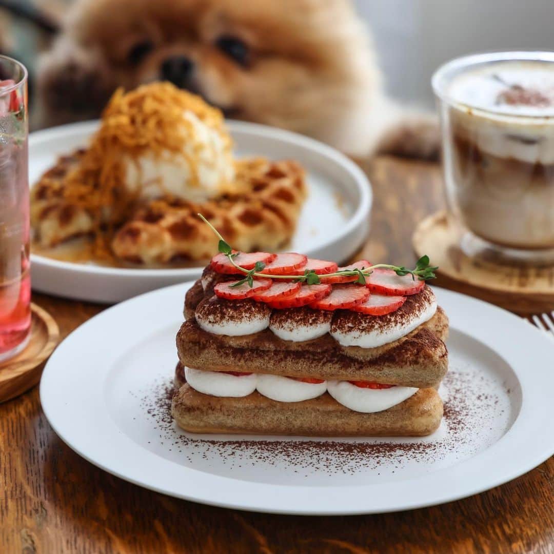 きょん。のインスタグラム