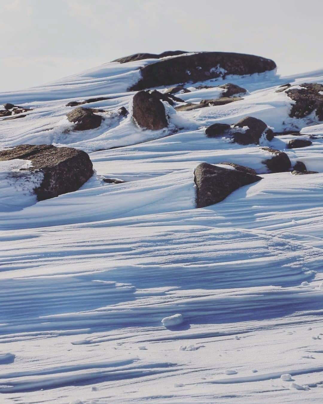 ?長野県 観光 公式インスタグラム さんのインスタグラム写真 - (?長野県 観光 公式インスタグラム Instagram)「// Photo by @mippoh_n_n ﻿ The Peak of Mt. Kurumayama  (Chino City, Suwa City)  Kurumayama is one of Japan’s Top 100 Mountains and is the highest peak of Kirigamine Kogen. From the 1,925-meter-high mountaintop, you can see panoramic views of Mt. Asama, Yatsugatake and the Japanese Alps.  During winter, the area becomes a ski resort where you can enjoy winter activities while taking in amazing scenery.  ＝＝＝＝＝＝＝＝＝﻿ ﻿ 絶景が広がる 「車山山頂」 ＠茅野市、諏訪市  日本百名山の一つ「車山」🏔  霧ケ峰の主峰でもあり 標高1925mからは 八ヶ岳はアルプス、浅間山など 360度のパノラマビューが広がります🍃  冬季はスキー場が運営され 絶景を眺めながら スノーアクティビティが楽しめますよ⛷  ＿＿＿＿＿＿＿＿＿　﻿ ﻿ Location / Chino City, Suwa City, Nagano , Japan ﻿ ﻿ #おうちでながの﻿ #長野のいいところ ﻿ #車山山頂 #茅野市 #諏訪市 ＿＿＿＿＿＿＿＿＿ ﻿ ﻿ 📸インスタアワード作品募集中⛄️  #長野の車窓から #長野の雪遊び 撮影場所(長野県内に限ります)  をキャプションに入れて 応募期間（12/28～2/28﻿）に投稿してください。 優秀作品に選ばれると 長野県特産品セットをプレゼント🎁  詳しくはプロフィールのリンクからご覧ください﻿。」2月23日 17時00分 - nagano_japan