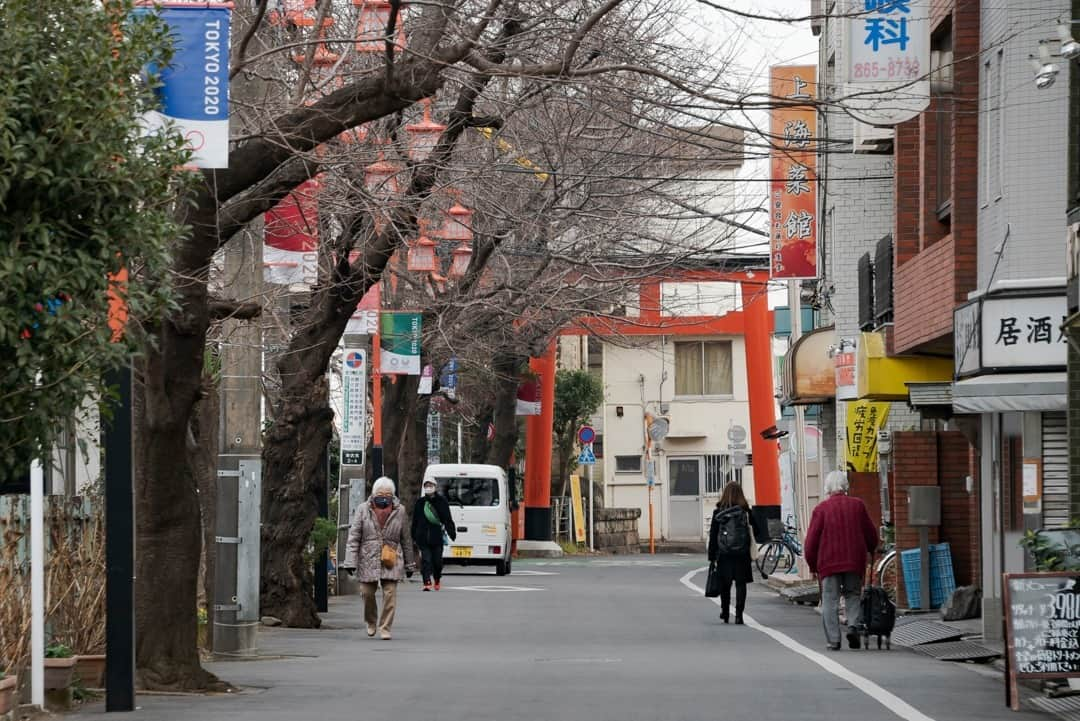 東京都庁広報課さんのインスタグラム写真 - (東京都庁広報課Instagram)「「東伏見 Higashifushimi(2021.1.22撮影)」最寄り駅：東伏見駅  #東伏見公園  #東伏見稲荷神社　#公園　#park　#西東京市　#西武線　#西武新宿線 #tokyotokyo #tokyogram #moodygrams #jp_gallery #ptk_japan #gdayjapan #realtokyo #beautifuldestinations #tokyojapan #instatokyo #loves_nippon #phos_japan #bestjapanpics #cooljapan #japan_of_insta #photo_jpn #illgrammers #景色 #東京 #Tokyo #东京 #도쿄 #tokyogood」2月23日 17時01分 - tocho_koho_official