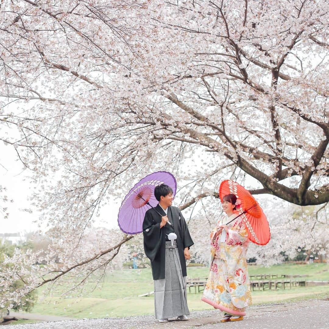 ラヴィ•ファクトリーさんのインスタグラム写真 - (ラヴィ•ファクトリーInstagram)「. 【写真で叶える結婚式】 . 例年大人気な桜のシーズンが近づいてまいりました* 日本の伝統、季節の美しさを感じていただける季節。 ご希望スポットなど、ぜひお早めにご相談くださいませ。 —————— ラヴィファクトリー大宮: @omiya_laviephotography  Photographer:肘井 AREA:JAPAN,OMIYA —————— @laviefactoryをフォローして #laviefactory #ラヴィファクトリー のハッシュタグをつけて お写真を投稿してみてくださいね✳︎ . こちらの公式IG（@laviefactory） で取り上げさせていただきます✨ #wedding#weddingphotography #ラヴィファクトリー #laviefactory #photo #生きる写真 #ハートのある写真 #instawedding #結婚写真 #ウェディング #ウェディングフォト #撮影指示書 #ロケーションフォト #前撮り #プレ花嫁 #結婚準備 #写真好きな人と繋がりたい #フォトウェディング #卒花 #前撮り #後撮り #ウェディングニュース #プラコレ #桜 #桜フォト #和装フォト #番傘 #2021春婚」2月23日 17時11分 - laviefactory