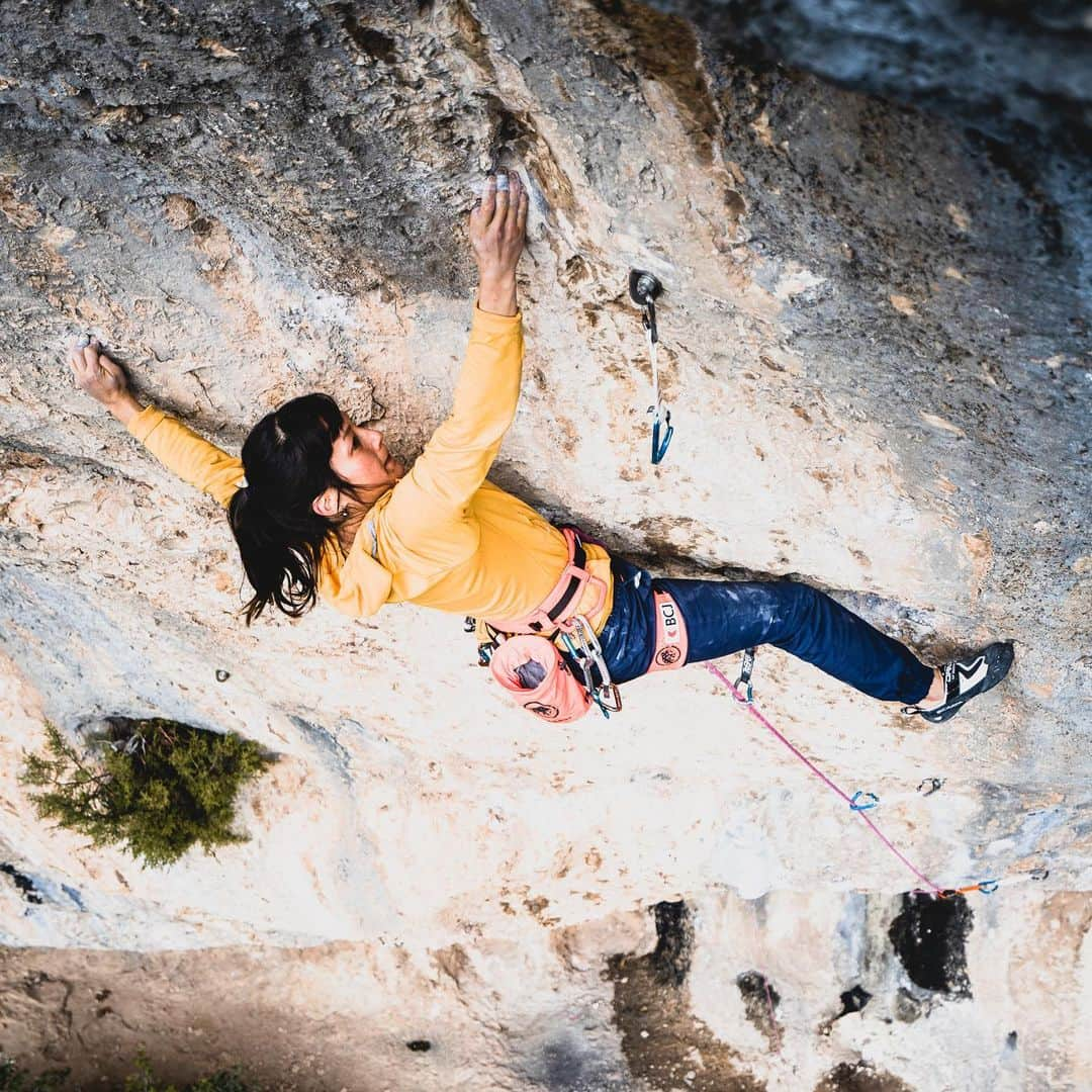 ニナ・カプレツのインスタグラム：「It’s so damn cool to watch the 🇨🇭 team rocking! @choongkatherine on fire in “la ligne claire” 8c+ in Saint Léger.  @choongkatherine is one of those super passionate climber. I really admire her personality, her attitude in life and on the wall. Kathy is a person who takes the shit down; no dramas, no fakes. Just a real passion for climbing. Check out her film “le marathon de Kathy”, by @nico_falquet  Thanks @newrocksport to support our little Swiss team!  @scarpaspa #scarpaclimb   📸 @hugovincentphotography」