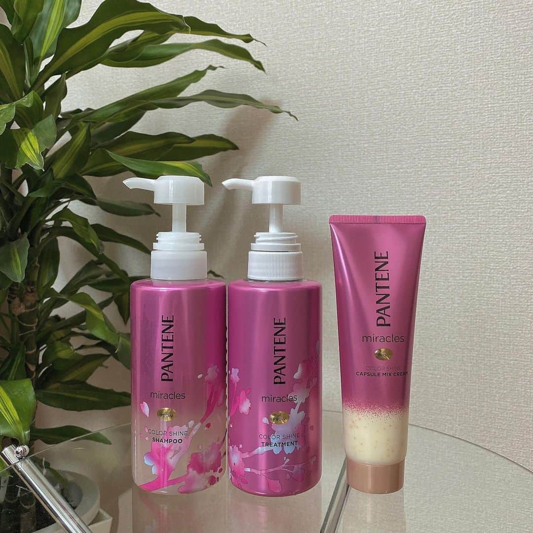 宮瀬いとさんのインスタグラム写真 - (宮瀬いとInstagram)「･ ･ ･ @pantene_jp_official のパンテーンミラクルズ 色落ち防止シリーズを使わせて頂きました🌸 ･ ･ もうね、今までも色んなシャンプー使ってきたけど、その中でもかなり良かったです👑✨✨ ･ まずシャンプーの泡立ちがすごく良くて洗い上がりはシャンプーの時点でツヤっツヤ。トリートメントでさらにダメージ補修してくれて洗い流すトリートメントまで使えば色落ち防止効果もupするから本当に言うことなし🥲 ･ わたしは夏にブリーチ1回してて髪色も落ちやすい方だけど結構色持ちしたと思う！卒業シーズンになってカラーに挑戦する人は使ってみてもいいかも！💓 ･ そしてね 。。匂いがまたすーーっごく私好みで、洗ってる時もいい匂いだし乾かしたあともほんのり香って幸せだし、家族にもシャンプーいい匂い！って気づかれるくらい😳☁️ ･ ･ さくらボトルのデザインは数量限定らしいので是非に🤲🏻💓🌸 ･ ･ #卒業 #春カラー #アッシュ #色落ち防止シャンプー #色落ち防止トリートメント #パンテーン #パンテーンミラクルズ #pr #partnershipwithpantene」2月23日 17時22分 - ito_miyase