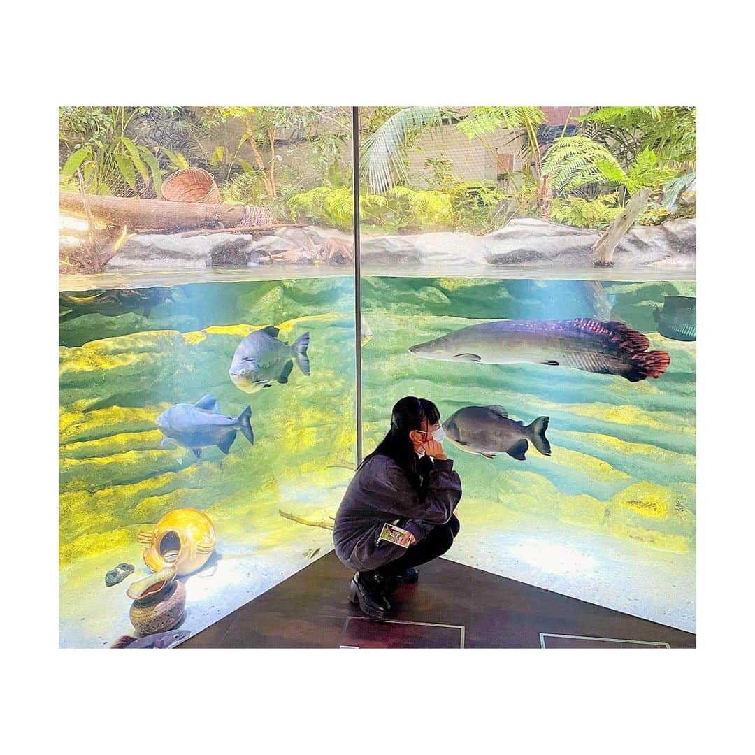 ももかさんのインスタグラム写真 - (ももかInstagram)「カワスイ行ってきた🐟 ・ ・ ・ 空いてたし癒された🤍 ・ ・ ・ #カワスイ #川崎水族館 #水族館 #魚 #癒しの時間  #オフの日」2月23日 17時26分 - momoka_ch