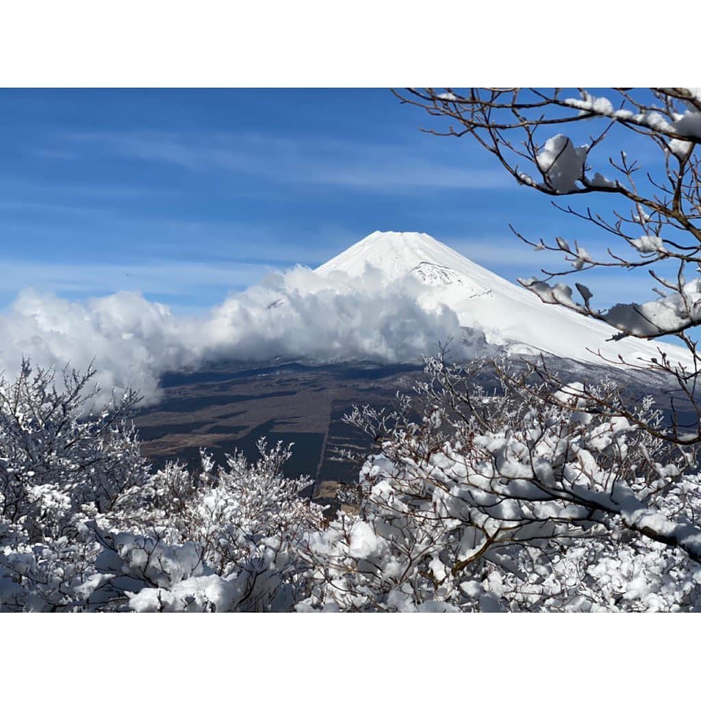 井出ちよのさんのインスタグラム写真 - (井出ちよのInstagram)「やっほーい、ちよのだよ🌈  富士山の日！！！ PVと年賀状のオフショットと時々母が送ってくる富士山写真をお裾分けします🗻 コロナが落ち着いたらまた富士山の麓に集まりたいねぇ  #富士山の日 #富士山 #3776 #みななろ」2月23日 17時36分 - 3776chiyono