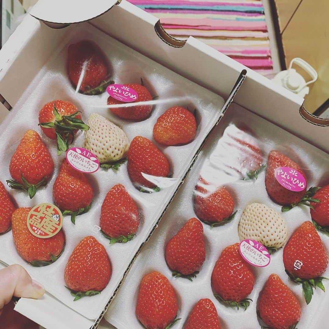 海老原歩美さんのインスタグラム写真 - (海老原歩美Instagram)「🍓  #カワイイネ」2月23日 17時46分 - ebigori