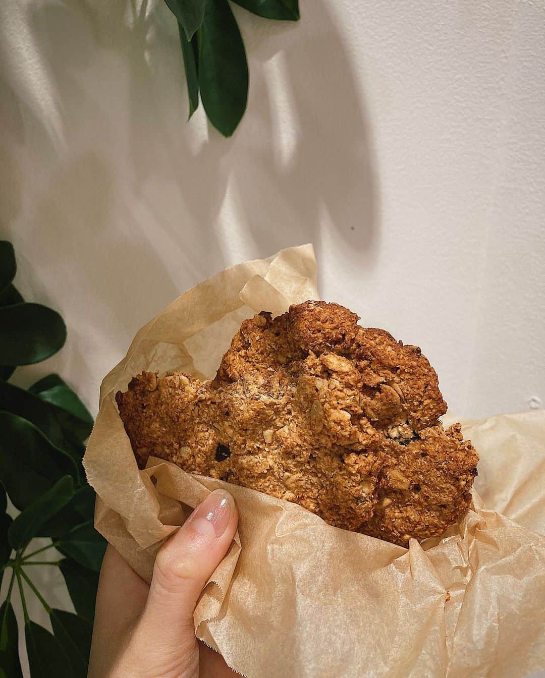 水戸悠夏子さんのインスタグラム写真 - (水戸悠夏子Instagram)「お散歩中に差し入れしてくれた！手作りのザクザククッキー、オートミールとかジンジャーとか栗とか色々入ってて美味しいです〜大好きなやつ。クミさんポゴさんありがとう◎#おやつ#cookie」2月23日 17時52分 - mitoyukako