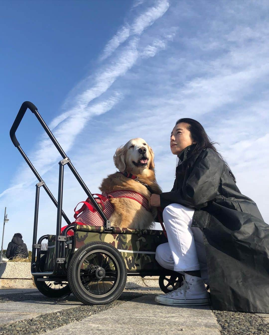 高橋ひとみのインスタグラム