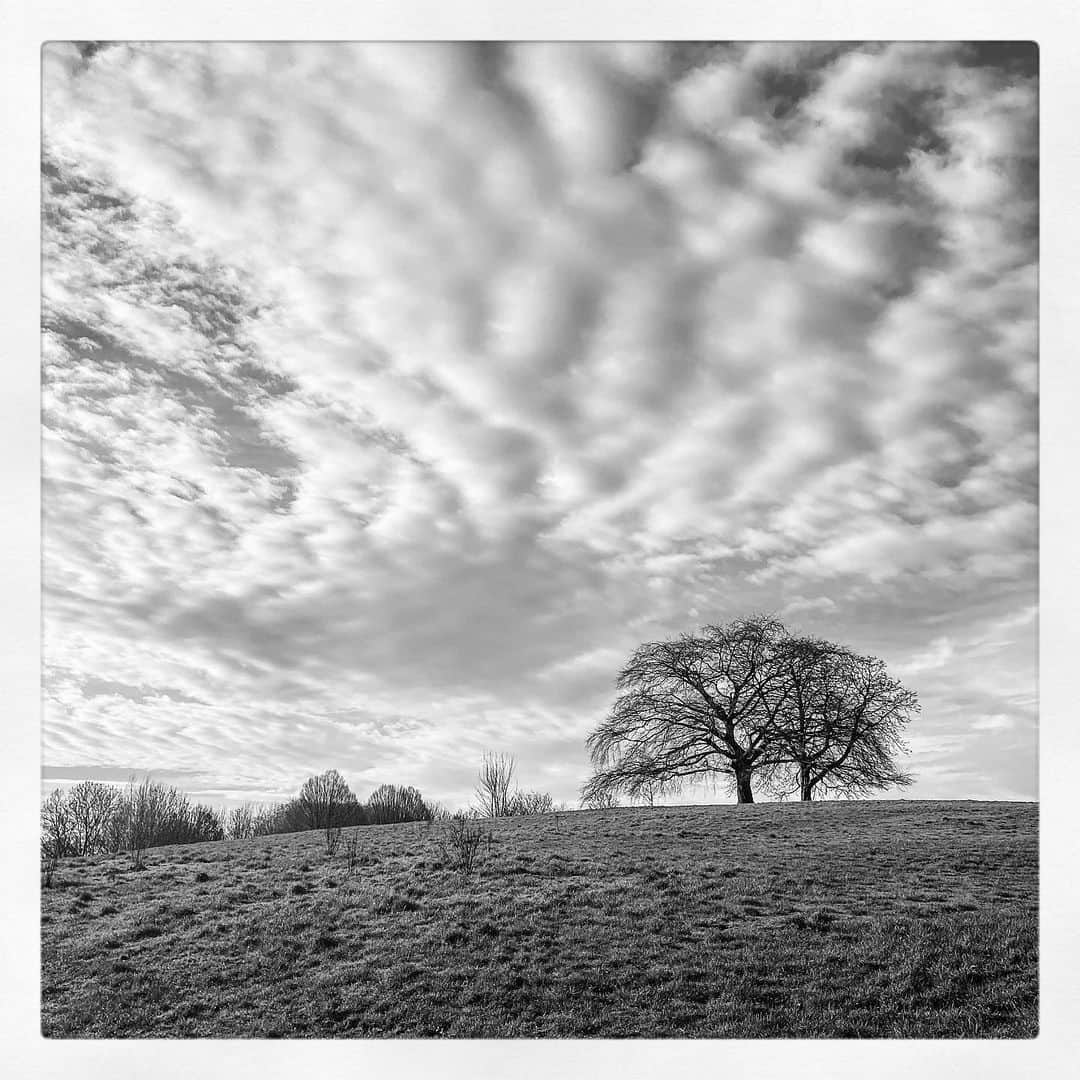 デビッド・モリシーのインスタグラム：「Beautiful morning walk.」