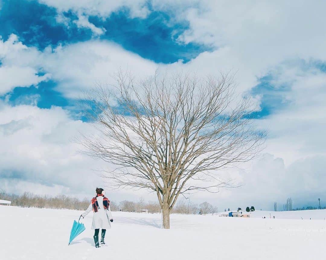 yukiのインスタグラム：「・ ・ ・ ・ ◉sty830 base shop◉ https://sty830.base.shop/ ・ ・ ・ #新潟　#雪　#雪景色」