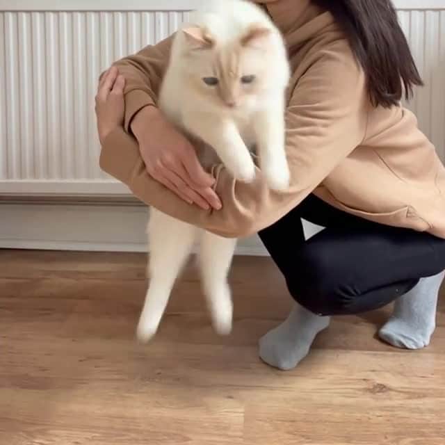 Aww Clubのインスタグラム