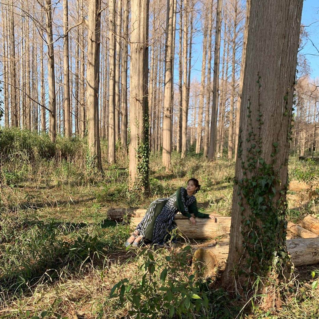 植村麻由さんのインスタグラム写真 - (植村麻由Instagram)「森の住人🌳」2月23日 19時00分 - oeufmayu