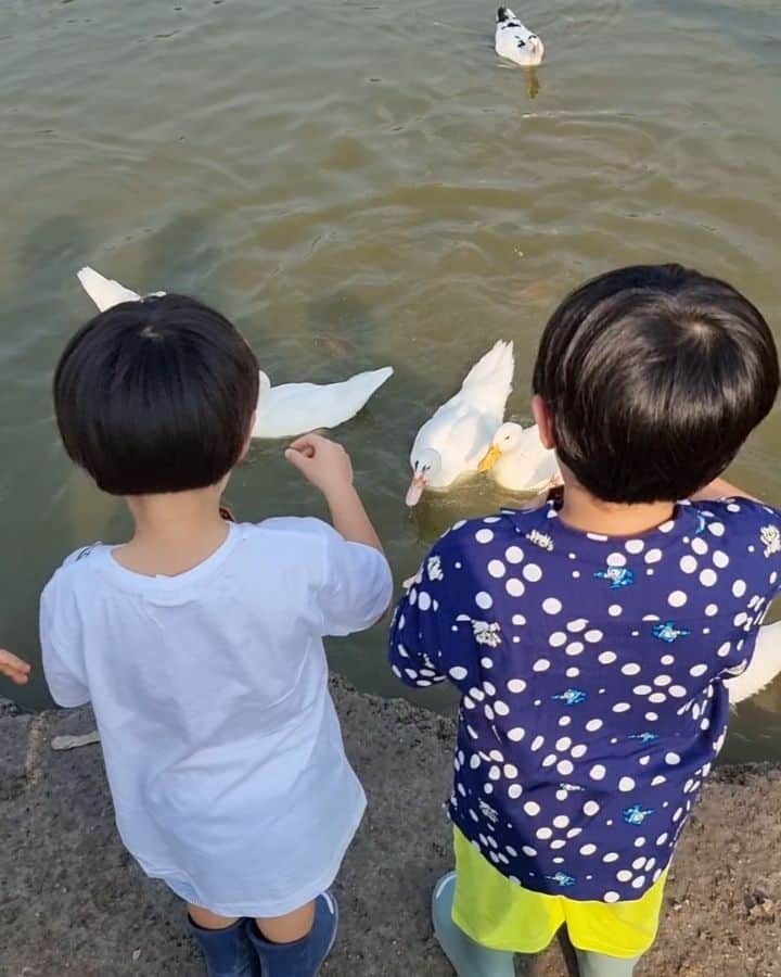 Araya Alberta Hargateのインスタグラム：「🦢🦢🦢🦢」
