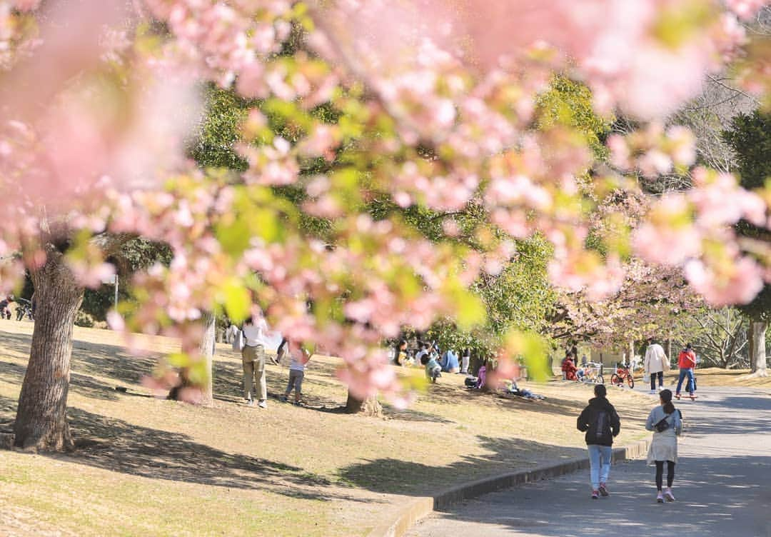 葉山町のインスタグラム